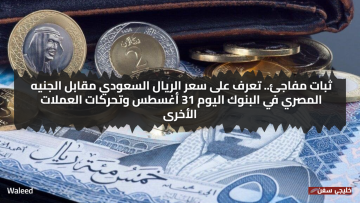 سعر الريال السعودي يتماسك أمام الجنيه المصري: تعرف على أسعار العملات في البنوك اليوم 31 أغسطس