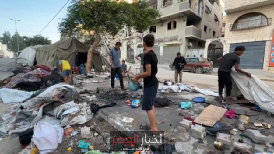 فنلندا تعلن دعمها لحل الدولتين في إطار إعلان نيويورك تجاه فلسطين