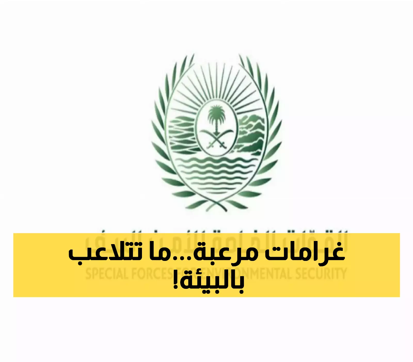 32 ألف ريال غرامة لكل متر مكعب من الحطب التجاري: اكتشف العقوبات المتوقعة لمخالفي الأنظمة البيئية في السعودية