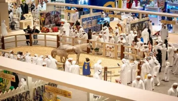 مجلس أبوظبي الرياضي يبرز أنشطته المميزة في معرض الصيد والفروسية