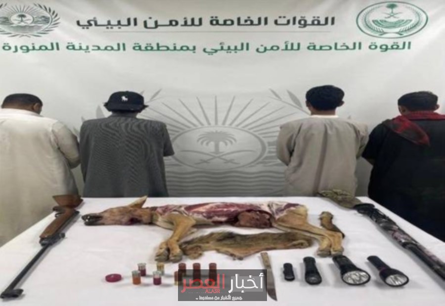 القبض على مواطنين ومقيم في المدينة المنورة لصيد ذئب عربي مهدد بالانقراض