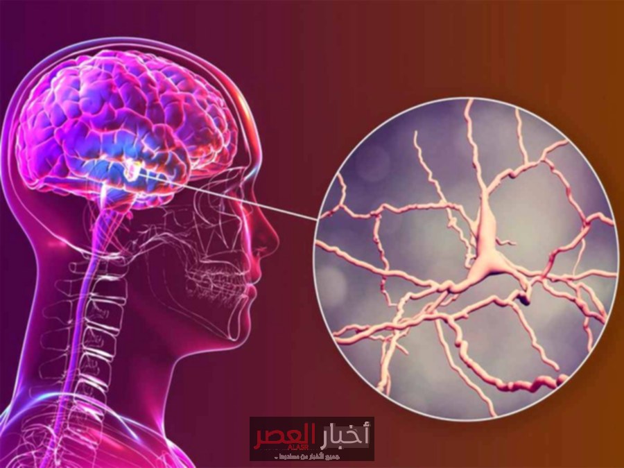 غرسة دماغية أمريكية تحقق إنجازًا ثوريًا في علاج الألم المزمن – أخبار العصر