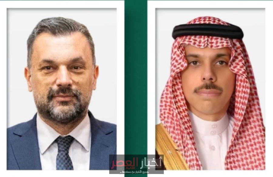 وزير الخارجية يجرى محادثة هاتفية مع نظيره البوسني لتعزيز العلاقات