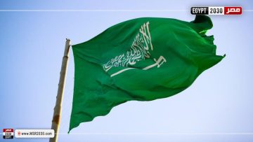 السعودية تؤكد تضامنها مع مصر في رفض تهجير الفلسطينيين