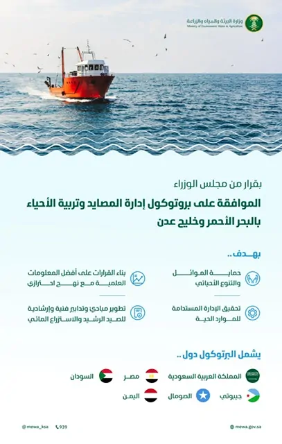 بروتوكول جديد في إدارة المصايد وتربية الأحياء البحرية بالبحر الأحمر وخليج عدن: خطوة نحو الاستدامة البيئية في المملكة