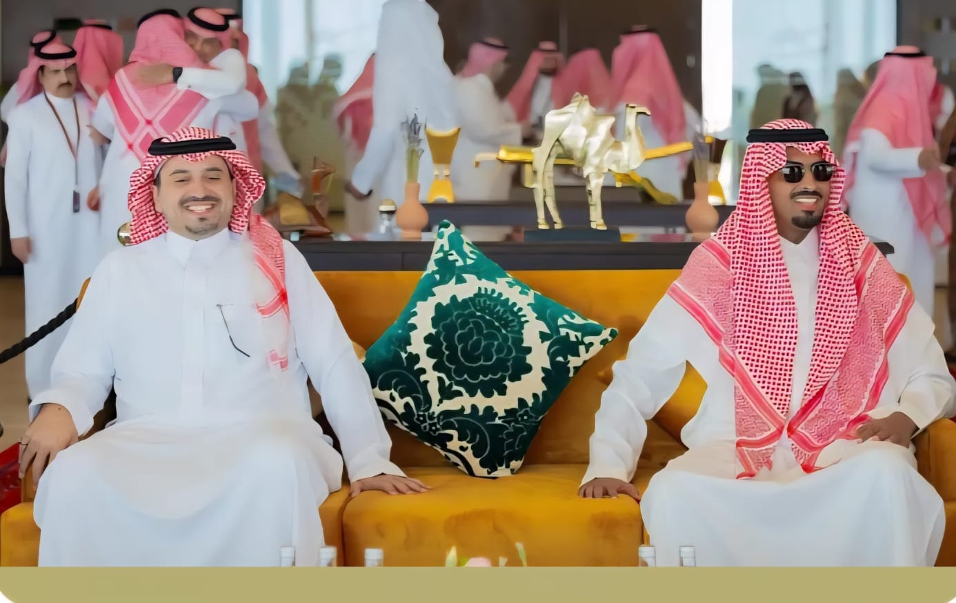 الهجن السعودية تحصد المراكز الأولى في انطلاق مهرجان ولي العهد بالطائف