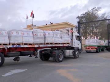 10,000 طن من المساعدات الإماراتية تصل غزة بعد فتح المعابر
