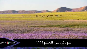 كم باقي على الوسم 1447 ومتى يبدأ موسم الأمطار في السعودية؟