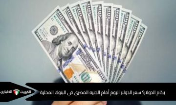 بكام الدولار؟ سعر الدولار اليوم أمام الجنيه المصري في البنوك المحلية