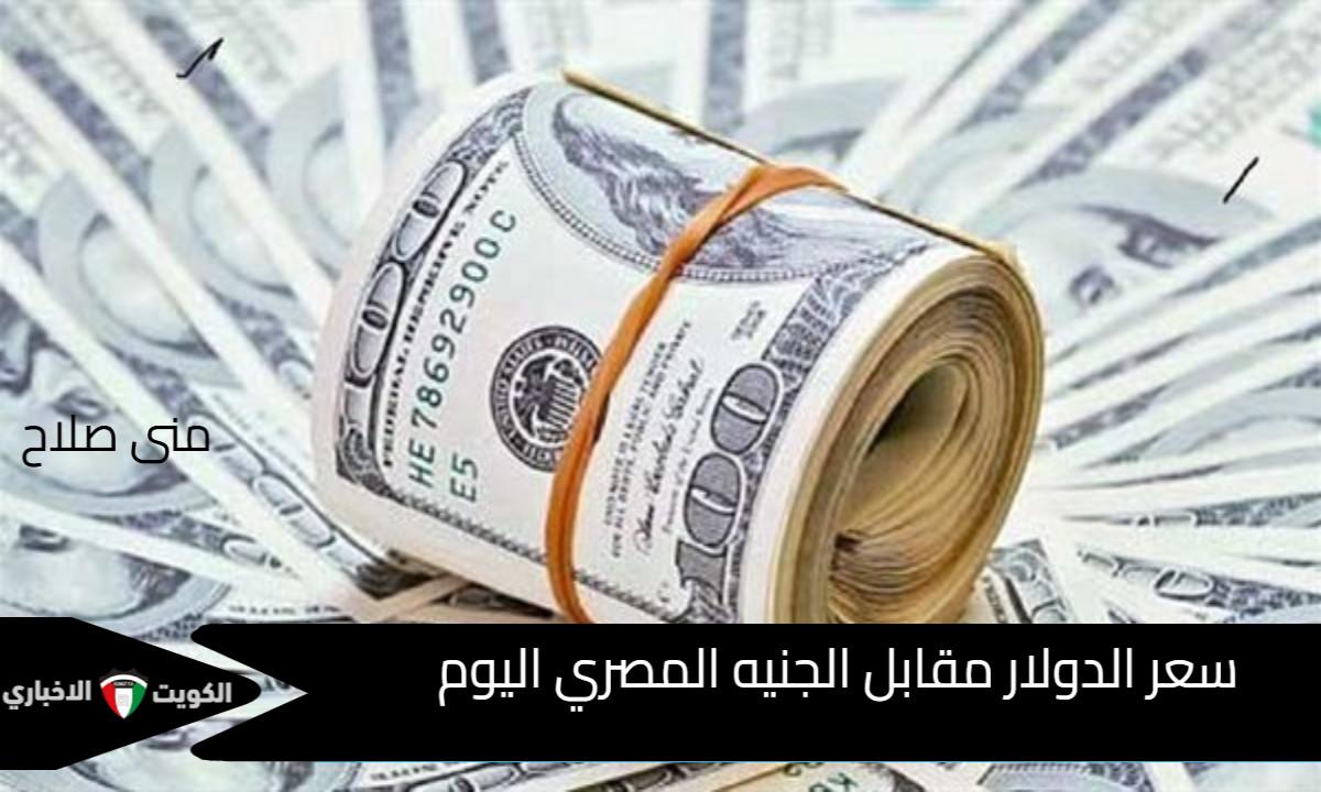 البنك المركزي يعلن: سعر الدولار مقابل الجنيه اليوم الخميس 16 أكتوبر 2025 .. هل يرتفع سعر الدولار نهاية 2025؟