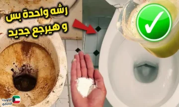 وفري وقتك ومجهودك.. مكون واحد ينضف الحمام ويخليه ريحته فل