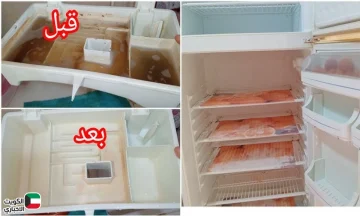 ريحة التلاجة بقت فلة .. الخلطة اللي مجرباها كل الستات بمكون رخيص هيخلي التلاجة ريحتها زي الفل