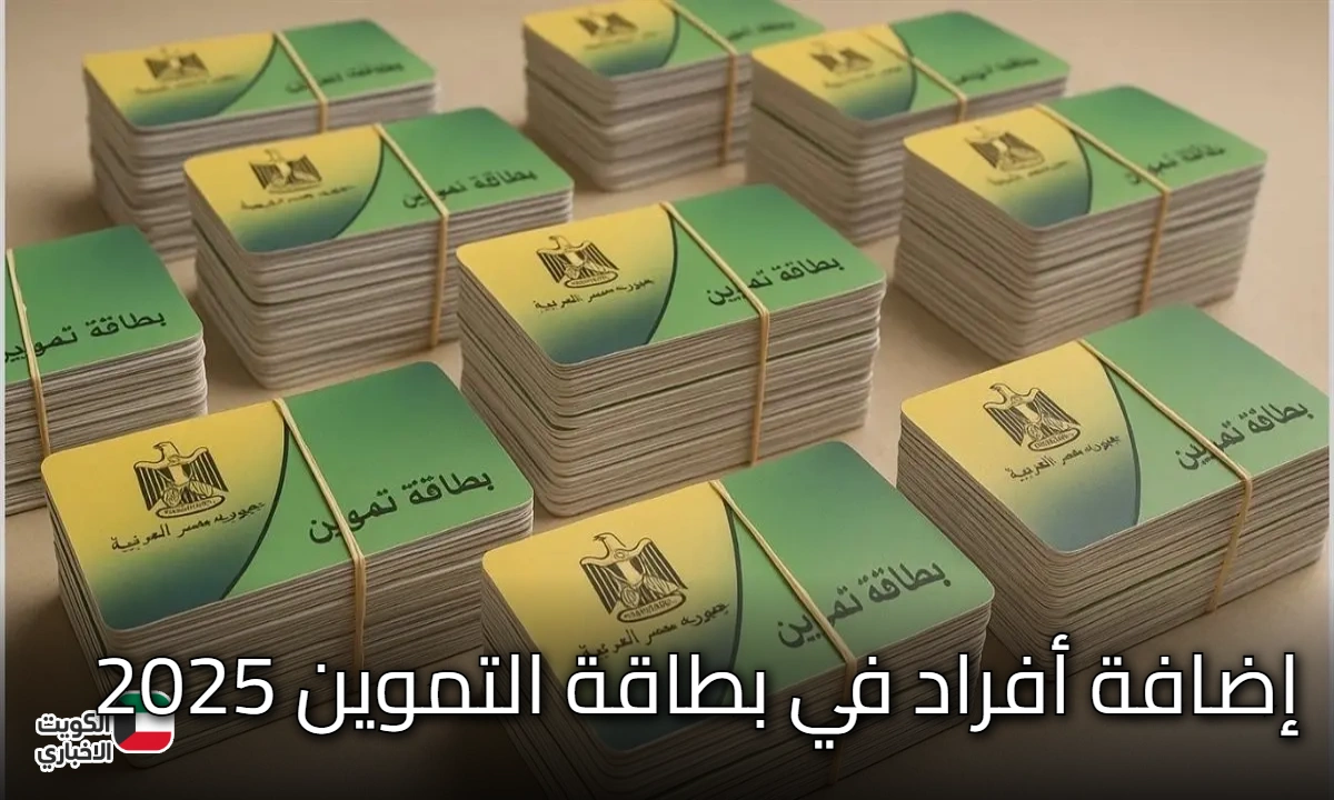 إضافة أفراد في بطاقة التموين 2025.. الشروط وخطوات التسجيل عبر دعم مصر