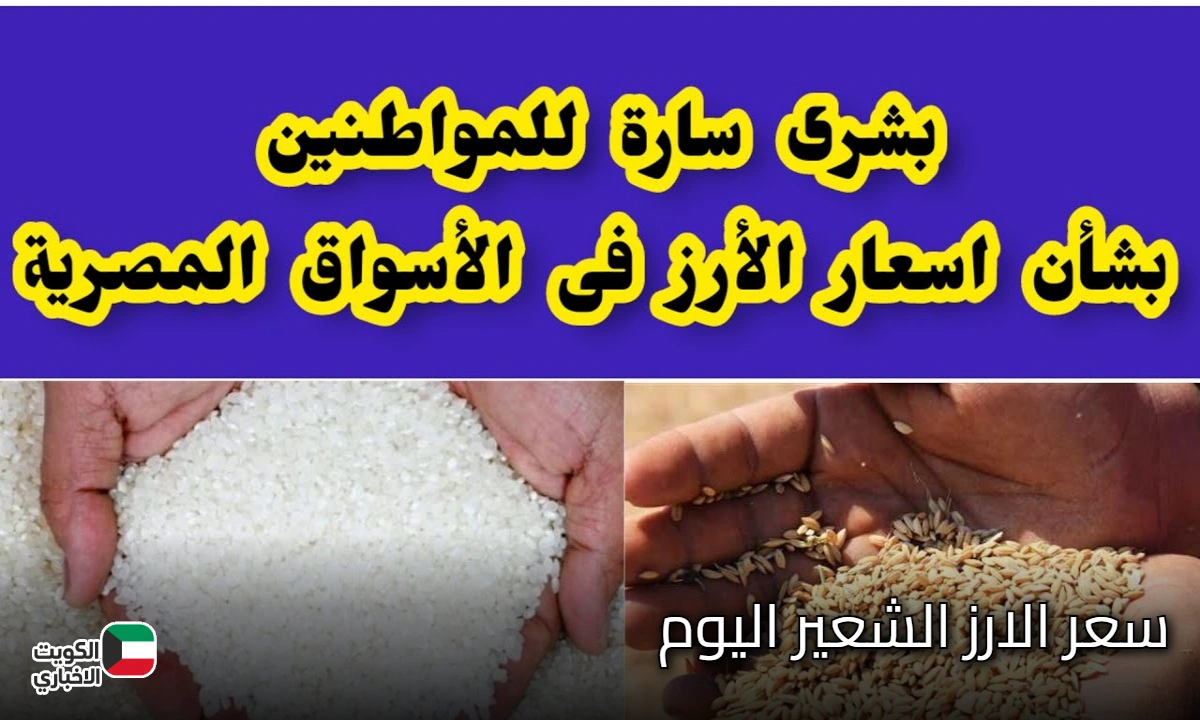 سعر الارز الشعير اليوم الخميس 23/ 10/ 2025 بجميع الأسواق المحلية | أسعار السلع الآن