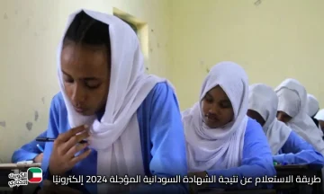 الآن.. طريقة الاستعلام عن نتيجة الشهادة السودانية المؤجلة 2024 إلكترونيًا