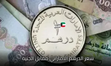 الدرهم وصل كام؟ .. سعر الدرهم الاماراتي مقابل الجنيه اليوم السبت 18 أكتوبر 2025