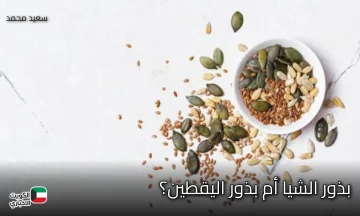 اكتشف السر الصحي!.. من الأقوى لبناء الجسم وتعزيز الطاقة: بذور الشيا أم بذور اليقطين؟