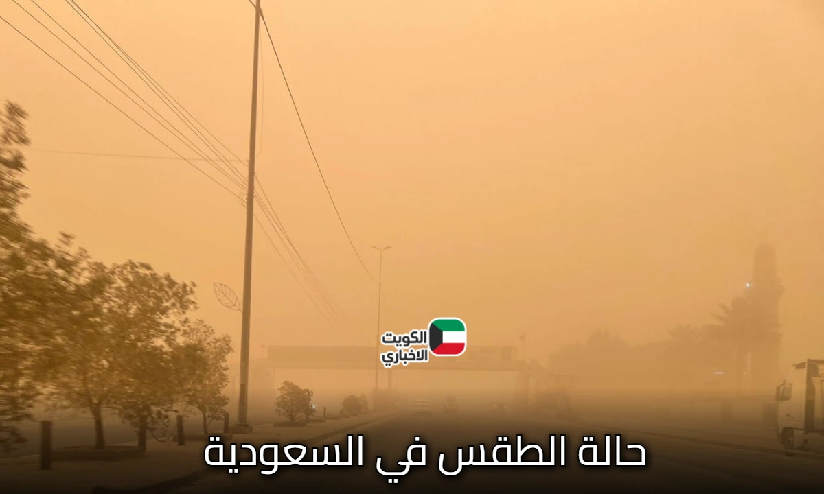 النشرة الجوية: احذر حالة الطقس في السعودية .. الأتربة والضباب تسود هذه المناطق الآن