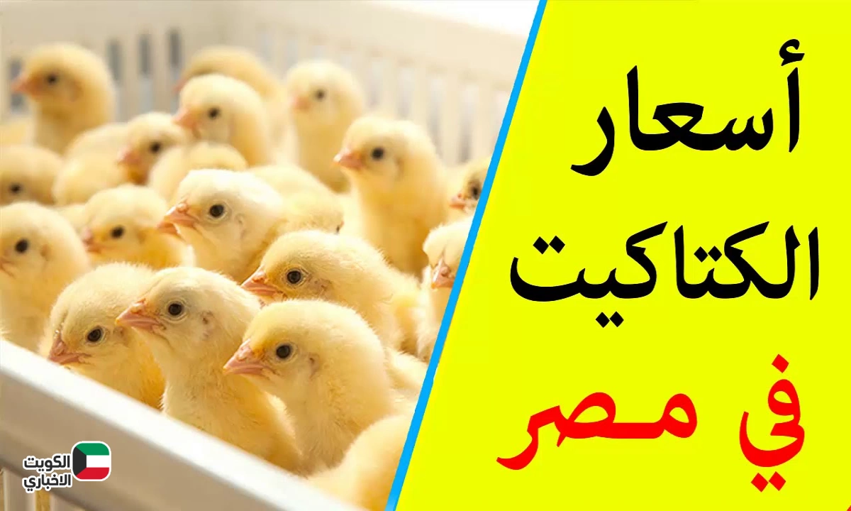 تحذيرات الأرصاد السعودية: طقس السعودية اليوم .. رياح وغبار على مكة والمدينة وضباب ساحلي اليوم الأربعاء