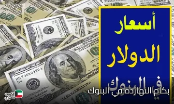 بعد إرتقاع سعر الذهب.. تعرف على سعر الدولار مقابل الجنيه المصري اليوم في مصر 2025