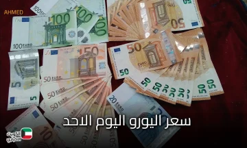 EURO الأوروبي.. سعر اليورو اليوم الأحد 19-10-2025 في السوق السوداء والبنوك