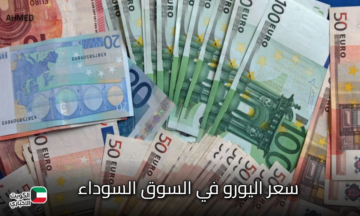 EURO الآن.. سعر اليورو في السوق اليوم الأثنين 20 أكتوبر 2025 امام الجنية المصري