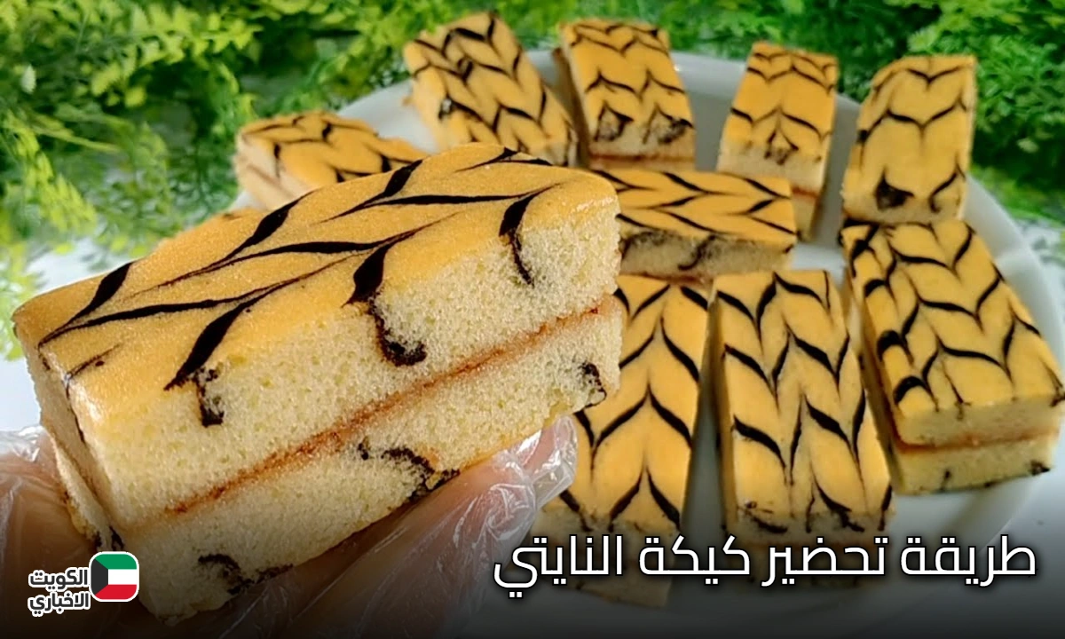 النايتي بتاع زمان.. حضري كيكة النايتي على أصوله بأنجح طريقة وبمكونات غير مكلفة وبطعم خطير أحلي من الجاهز مليون مرة