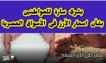 تسعيرة جديدة.. سعر طن الأرز الشعير 29-10-2025 في جميع الاسواق المحلية | أسعار السلع الآن