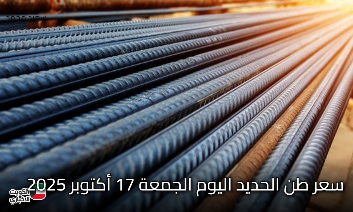 تحديث عاجل الآن.. سعر طن الحديد اليوم الجمعة 17 أكتوبر 2025 يشعل الجدل بين الشركات والمصانع!