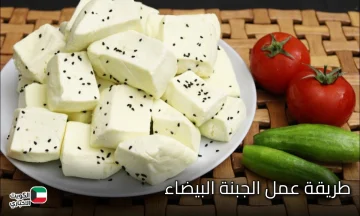 مش هتشتريها من برة تاني.. طريقة عمل الجبنة البيضاء في المنزل مثل المصانع تماماً طعمها روعة لا يقاوم 