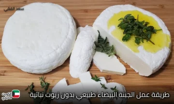 الطبيعي يكسب …طريقة عمل الجبنة البيضاء طبيعي بدون زيوت نباتية في المنزل بخطوات سهلة وصحية