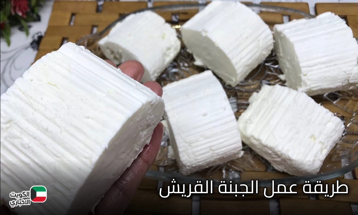 طريقة عمل الجبنة القريش في البيت بخطوات بسيطة وأسرار نجاحها