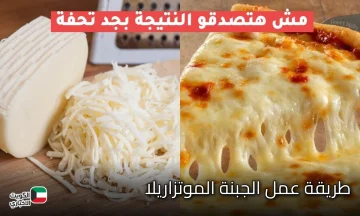 طريقة عمل الجبنة الموتزاريلا في البيت بخطوات سهلة وأسرار نجاحها