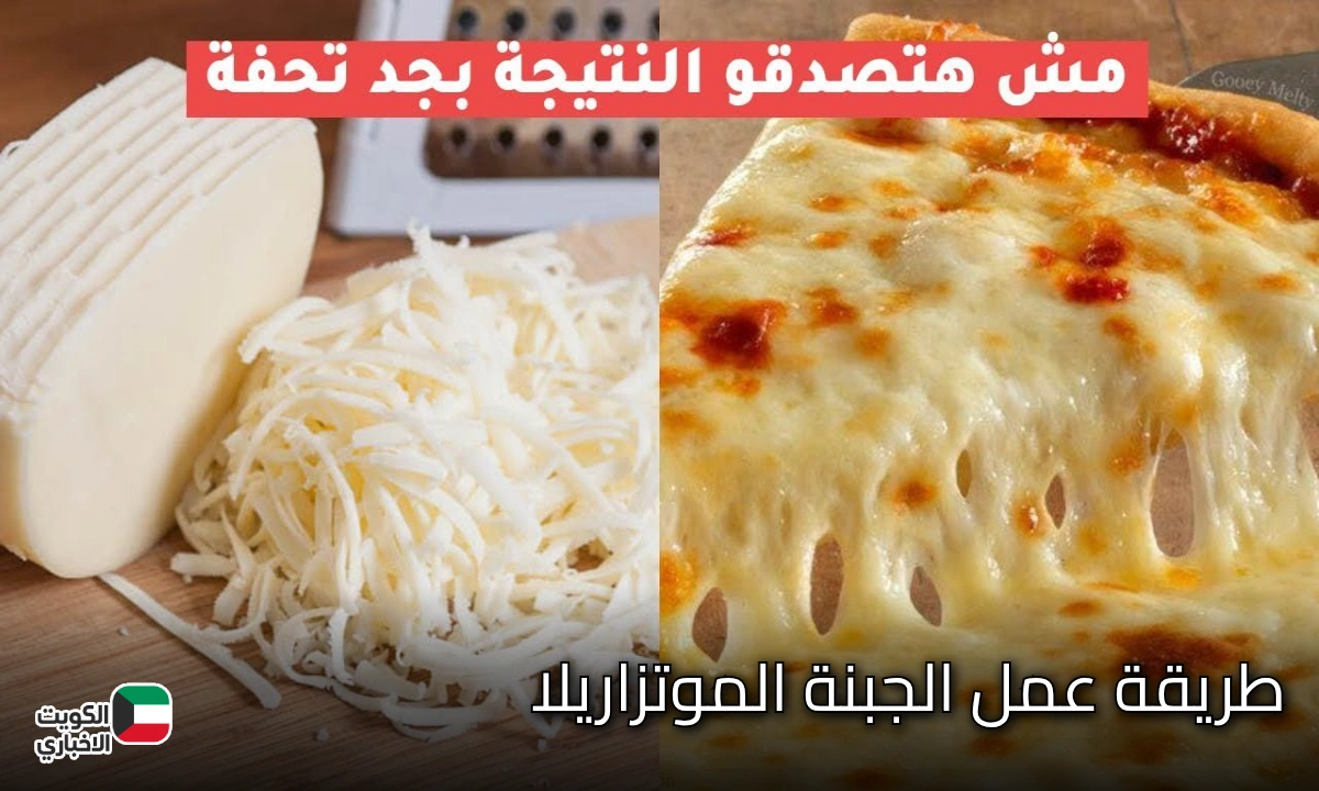 طريقة عمل الجبنة الموتزاريلا في البيت بخطوات سهلة وأسرار نجاحها