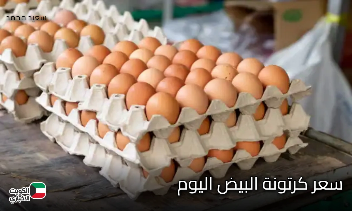 ثبات سعر كرتونة البيض اليوم للمستهلك السبت الموافق 18 أكتوبر 2025 بالمزرعة والسوق المحلي