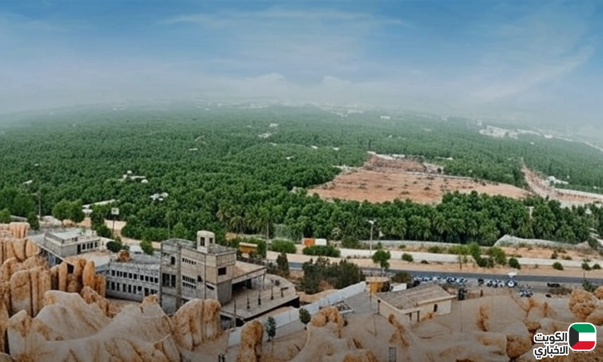 عاجل.. “لا كهرباء بلا تشجير” قرار جديد في الأحساء يربط الترخيص بزراعة الأشجار