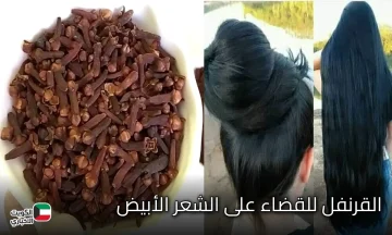 أخفي شعرك الشايب.. استخدمي وصفة القرنفل للقضاء على الشعر الأبيض وشيب الشعر المبكر بدون اي مواد كيميائية ضارة 