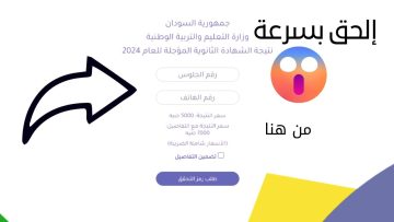 اعتماد نتائج الشهادة السودانية المؤجلة 2024 رسميًا.. دليلك الشامل للتعرف على نسبة النجاح وطريقة الاستعلام وكافة التفاصيل