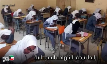 الآن يا زول.. رابط نتيجة الشهادة السودانية 2025 برقم الجلوس عبر الموقع الرسمي result.sudani.sd