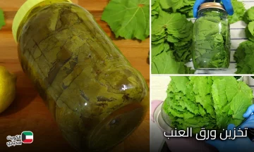 سر ربات البيوت.. طريقة تخزين ورق العنب بدون ما يسود أو يفقد طعمه الأصلي هيبقى طازة كانك لسه شرياه