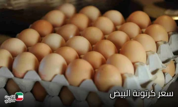 الآن سعر كرتونة البيض اليوم الثلاثاء 4/ 11/ 2025 في جميع الأسواق المحلية والتجارية