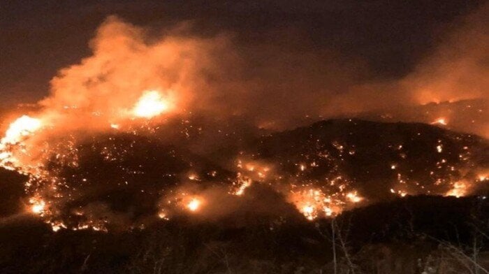 شهداء في غارات إسرائيلية على البلاد – الأسبوع